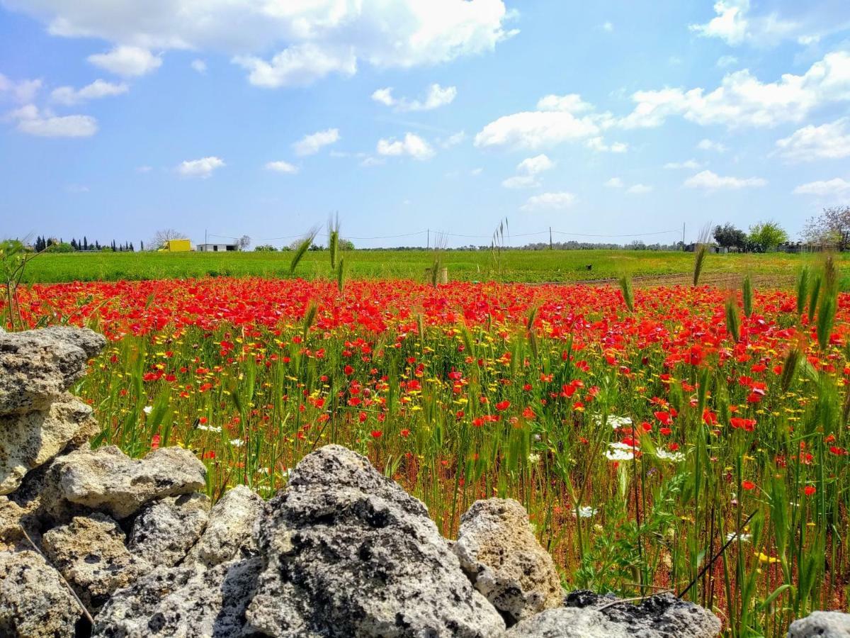 Masseria Cataldo Corigliano dʼOtranto Exterior foto